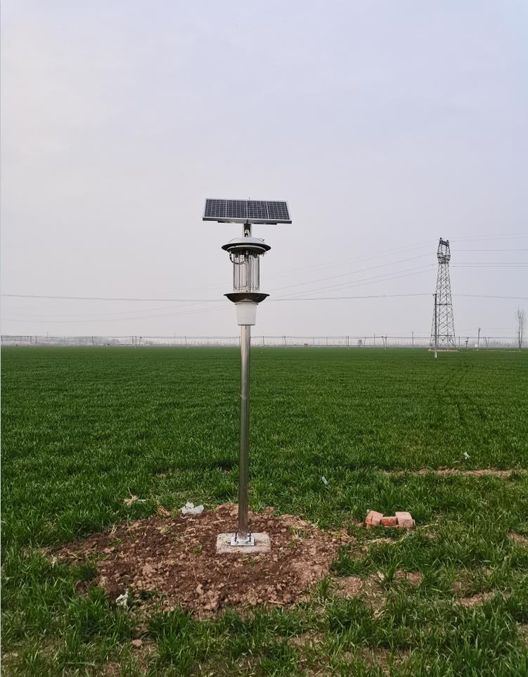 1615451610963810.jpg 2.jpg