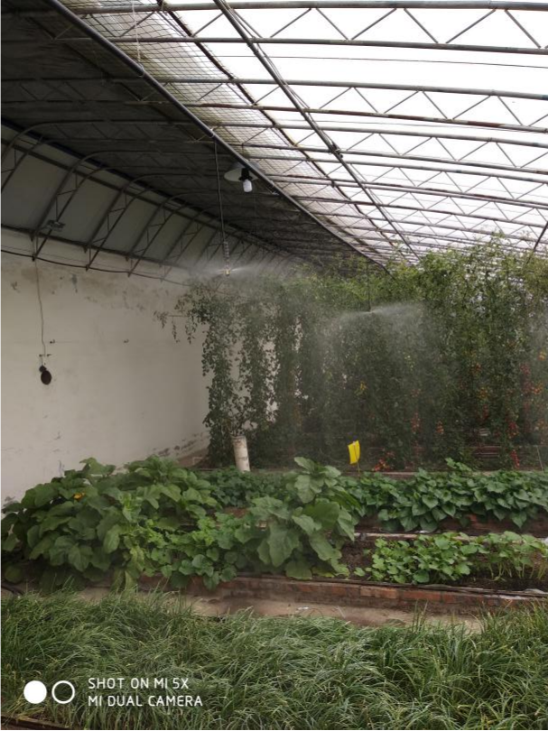 1635300710678689.png 圖片2.png