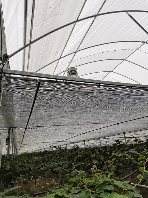 溫室控制柜及自動化系統圖片2 溫室控制柜及自動化系統圖片2