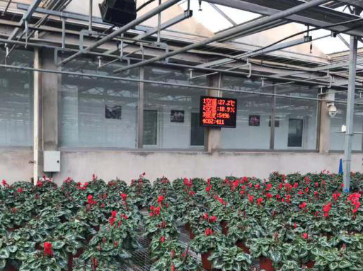 溫室大棚智能控制系統圖片3 溫室大棚智能控制系統圖片3