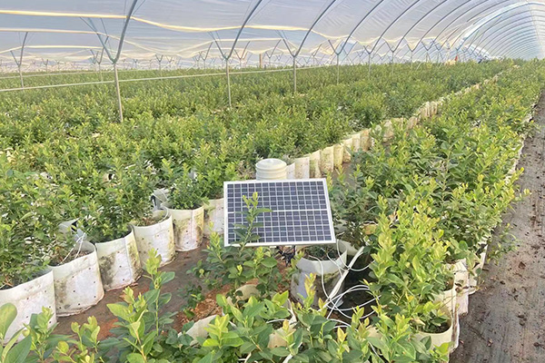 1677832222341871.jpg 大棚氣象站-小型氣象站9.jpg