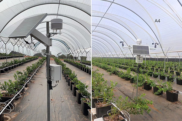 自動監測氣象站圖片1 自動監測氣象站圖片1