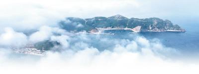 布設捕捉害蟲的“天網” 圖片1 布設捕捉害蟲的“天網” 圖片1