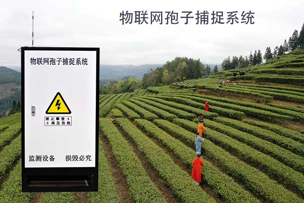 1702460547180545.jpg 物聯網孢子捕捉系統.jpg