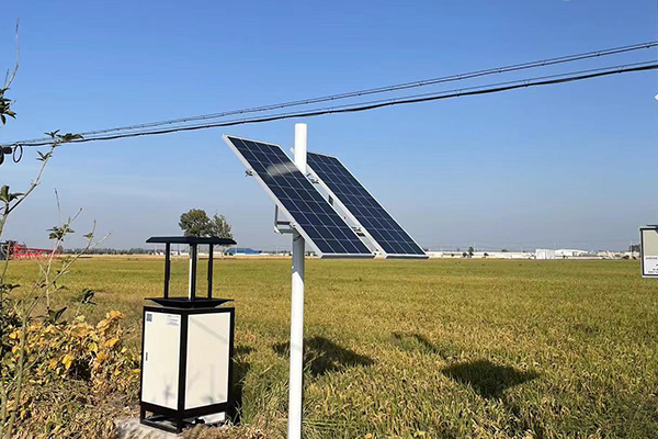 農作物病蟲疫情監測圖片4 農作物病蟲疫情監測圖片4