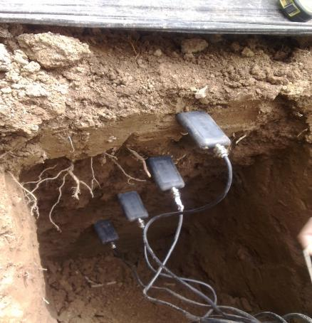 土壤墑情與旱情圖片2 土壤墑情與旱情圖片2