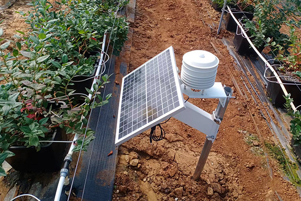 智慧大棚環境監測系統圖片3 智慧大棚環境監測系統圖片3