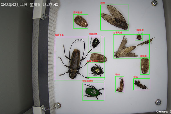 蟲情測報設備圖片2 蟲情測報設備圖片2