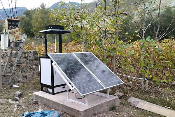 蟲情及重大病害預警系統圖片4 蟲情及重大病害預警系統圖片4