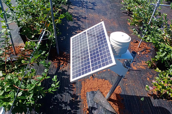 小微型農(nóng)業(yè)氣象站圖片2 小微型農(nóng)業(yè)氣象站圖片2