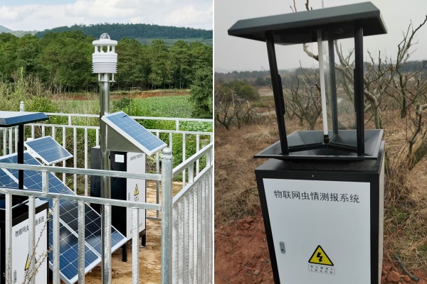 蟲情測報燈圖片2 蟲情測報燈圖片2