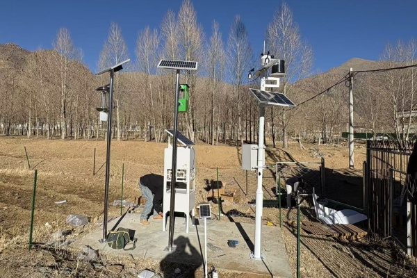 害蟲性誘自動誘捕器圖片2 害蟲性誘自動誘捕器圖片2