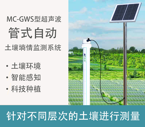 管式土壤墑情監(jiān)測(cè)站 管式土壤墑情監(jiān)測(cè)站