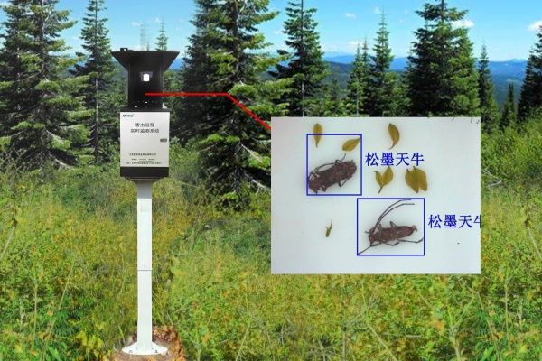 MC-HCTN型物聯(lián)網(wǎng)天牛智能監(jiān) MC-HCTN型物聯(lián)網(wǎng)天牛智能監(jiān)