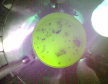 物聯(lián)網(wǎng)殺蟲燈圖片3 物聯(lián)網(wǎng)殺蟲燈圖片3